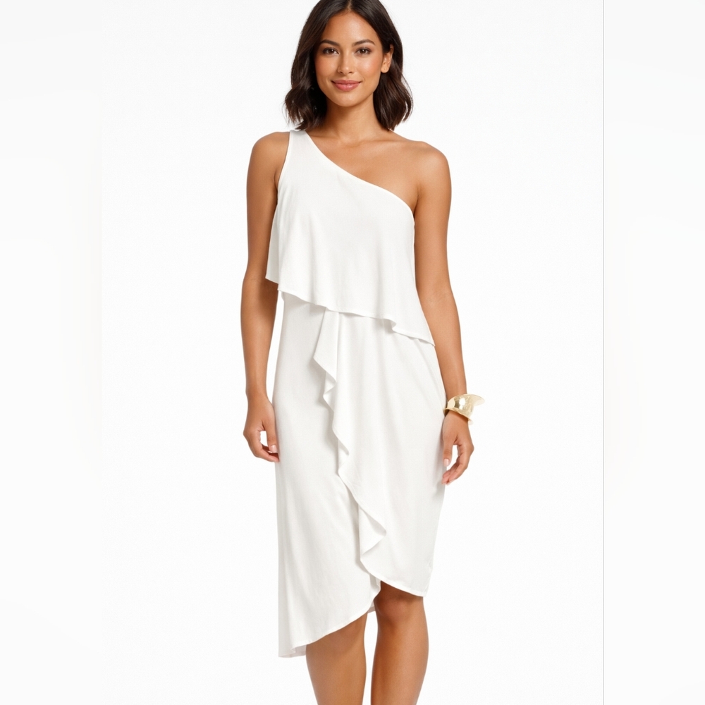BCBGMaxAzria NWT Katrina Dress Size XS